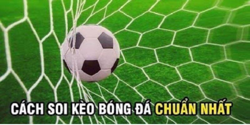 Cách cách soi kèo cá cược nhà cái hiệu quả cho “chiếu mới”